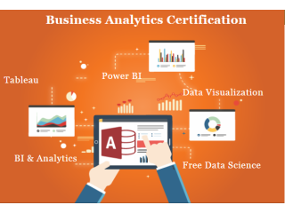 Business Analyst Course in Delhi.110071. Best Online Data Analyst Training in Srinagar by IIM/IIT Faculty, [ 100% Job in MNC]