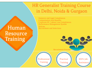 HR Course in Delhi, Dwarka, Free Payroll, SAP HCM & HR Analytics Classes, SLA Institute, Free Job Placement,